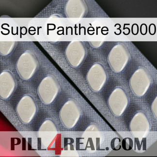 Super Panthère 35000 07